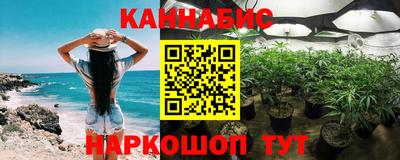 ECSTASY Новодвинск