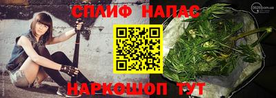 ECSTASY Новодвинск
