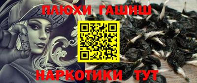 эйфоретик Новокубанск