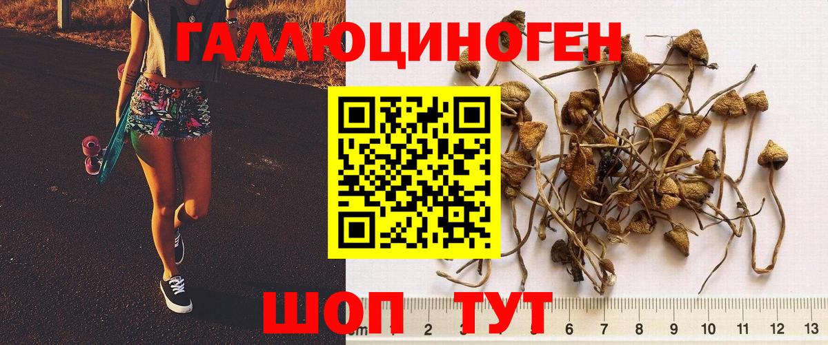 Галлюциногенные грибы GOLDEN TEACHER Тара
