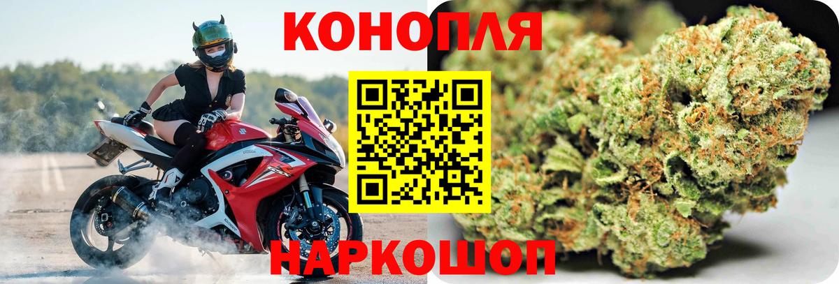 Марихуана план  Каннабис OG Kush  Тара  Конопля AK-47  Вход с VPN 